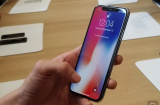 Loạt phản ứng cười ra nước mắt của cư dân mạng khi chiêm ngưỡng iPhone mới của Apple
