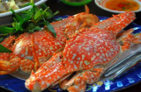 Chuẩn bị bữa ăn hải sản thịnh soạn tặng vợ ngày 20/10
