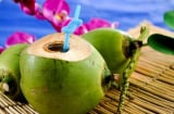Nếu bạn thường uống nước dừa điều gì sẽ xảy ra với Sh88bet đăng ký miễn phí?