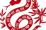 Tuổi Kỷ Tỵ mạng nữ năm Mậu Tuất 2018: Tất tần tật những điều cần lưu ý