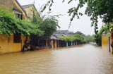 Dự báo thời tiết mới nhất ngày 8/11: Miền Bắc mưa nhỏ, nhiệt độ 13oC
miền Trung vẫn mưa to