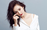 3 Shbet888.com nhà cái uy tín CHỚ TIN NHỮNG LỜI ĐƯỜNG MẬT BỞI ẨN SAU ĐÓ CÓ THỂ LÀ LIỀU THUỐC ĐỘC trong tháng 12/2017