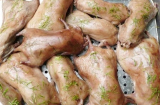 Mang thai ăn thịt chuột được không?