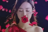 Tử vi mới nhất Chủ Nhật ngày 10/12/2017 của 12 cung hoàng đạo cực chuẩn, cực thú vị
