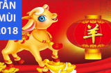 Phong thủy 2018 tuổi Tân Mùi và những điều cần tránh