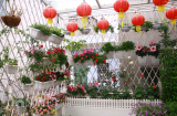 Mẹo trang trí ban công đẹp đón tết 2018