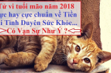 Tuổi Mão năm 2018 - những điều cần biết để tránh và hóa giải