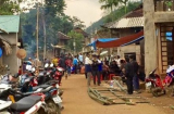 Hé lộ nguyên nhân vụ chồng trọng thương nằm cạnh người vợ tử vong