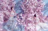 Dương Cẩm Lynh hóa tiên nữ tuyệt đẹp, chứng minh hôn nhân viên mãn
