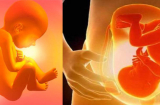 10 điều MẸ BẦU nào cũng phải THUỘC LÒNG kẻo HẠI MẸ, HẠI THAI NHI