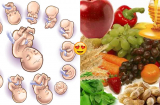 Mách mẹ bầu chế độ ăn chuẩn theo từng tuần thai để con KHỎE MẠNH, MẬP MẠP chào đời