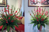 Cách cắm hoa lay ơn nghìn tay ngày Tết đẹp và tươi lâu