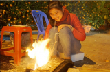 Tết trong mơ của người buôn bán cây cảnh trong đêm giá rét