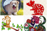 Sự nghiệp, công danh, tình duyên của 12 Shbet888.com nhà cái uy tín trong năm 2018