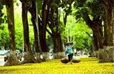 Những địa điểm du lịch gần Hà Nội
