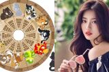 Tử vi thứ 7 ngày 21/4/2018 của 12 Shbet888.com nhà cái uy tín mới nhất