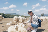 Địa điểm du lịch gần Vũng Tàu