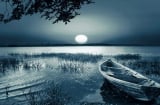 Đời người qua nhanh như một cái chớp mắt:  Sớm còn thắm đỏ đôi gò má, chiều đã bạc phơ nửa mái đầu