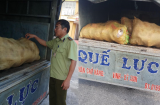 Hà Tĩnh: Lại phát hiện và tạm giữ hơn 300kg da lợn đông lạnh không rõ xuất xứ