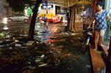 Phố phường Hà Nội ngập như sông sau cơn mưa lớn chiều tối 12/5