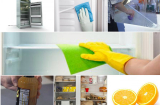 Với 14 mẹo cực đơn giản khiến tủ lạnh nhà bạn sạch bong