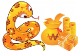 Xem sao chiếu mạng và hạn năm 2019 của tuổi Quý Tỵ 1953