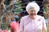 Nữ hoàng Elizabeth II từ chối Shbet888 tiền thưởng cực khủng đầu gối, Hoàng gia Anh diễn tập kịch bản băng hà