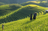 4 địa điểm du lịch bạn không thể bỏ qua trong tháng 7