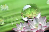 Trí Huệ của cổ nhân: muốn cả gia tộc yên vui, hãy làm tròn một chữ này