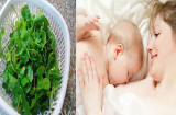 Những loại thực phẩm gọi sữa mẹ về ào ạt sau sinh