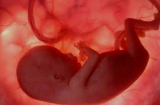 6 dấu hiệu nguy hiểm cảnh báo thai nhi đã ngừng phát triển, mẹ nhất định phải biết.