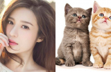 Tử vi tháng 8/2018 đầy biến động của 12 Shbet888.com nhà cái uy tín: Tuổi Mão gặp chuyện thị phi, tuổi Hợi tài lộc may mắn