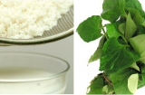 Những cách trị ho cho trẻ nhỏ bằng bài thuốc dân gian