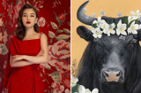 Top 3 con giáp gặp 'thiên thời địa lợi', tài vận bùng nổ ngút trời trong vòng 10 ngày tới