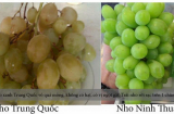 Những mẹo phân biệt thực phẩm Trung Quốc và Việt Nam, hoá ra chúng ta toàn mua nhầm đồ Trung Quốc