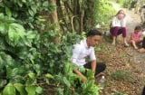 Cha bé gái 5 tuổi bị chồng sau của vợ sát hại đau đớn ngã quỵ bên đường: 'Con ơi, bố đến rồi này!'