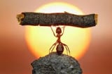 Buông gánh nặng trên lưng xuống, bỏ hạt cát trong giày ra bạn mới có thể chạy được nhanh