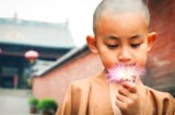Đời người có 2 điều không nên nhìn, 3 điều không nên quản, 4 điều không nên cho, 5 điều không nên đợi