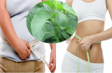 SHBET com đăng nhập vù vù, mỡ tan biến ngay không cần phải nghĩ với 10 loại lá quen thuộc