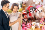 Top 3 Shbet888.com nhà cái uy tín nữ được sao đào hoa chiếu mệnh trong 3 tháng cuối năm 2018