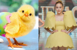 Minh Hằng bị ví như 'gà con lon ton' khi diện váy vàng xòe lên ghế nóng The Face