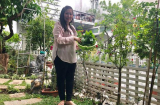 Ngắm vườn rau xanh mướt 'nhìn là mê' của vợ chồng nghệ sĩ Hồng Vân - Lê Tuấn Anh