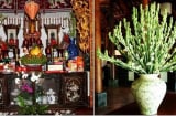 Tiền sẽ ào ào chảy vào ví sau khi đặt loại hoa này lên bàn thờ, đơn giản nhưng không phải ai cũng biết