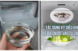 Để bát nước trong tủ lạnh chỉ sau 1 đêm ngủ dậy bạn sẽ thấy được điều vô cùng bất ngờ