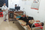7 người cùng bị ong đốt khi đi thu hoạch lúa, 4 đứa trẻ vẫn hôn mê