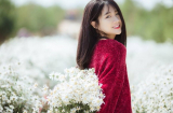 Tử vi thứ sáu ngày 28/9/2018 của 12 Shbet888.com nhà cái uy tín: tuổi Sửu công việc hanh thông, tuổi Tỵ vướng chuyện thị phi