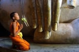Nếu bạn đang cảm thấy phiền muộn, hãy đọc ngay 7 lời Phật dạy này để cảm thấy an yên
