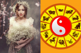 Tử vi 12 Shbet888.com nhà cái uy tín thứ 7 của tuổi Hợi tài lộc khởi phát, tuổi Sửu hôn nhân gặp trục trặc