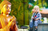 Sống ở đời chớ nên giành giật, mọi sự đã có trời xanh an bài