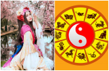 Tử vi thứ năm ngày 11/10/2018 của 12 Shbet888.com nhà cái uy tín: tuổi Tý vận trình tươi sáng, tuổi Mùi tài lộc ảm đạm